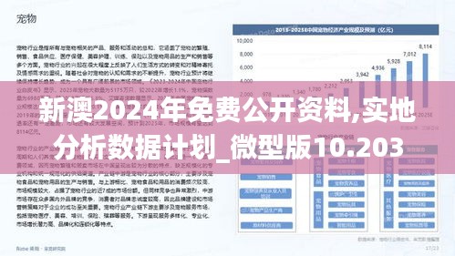 2025新澳正版今晚资料全面释义，专家深度解析与落实策略，警惕虚假宣传陷阱